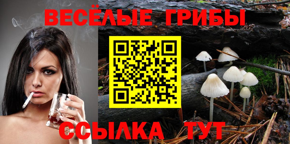 Трёхгорный  Галлюциногенные грибы Psilocybine cubensis  Вход с VPN  Псилоцибиновые грибы ЛСД 