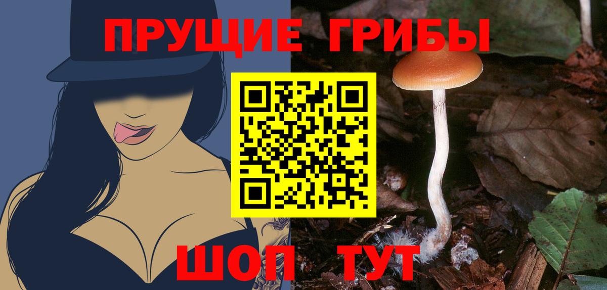 Галлюциногенные грибы Psilocybine cubensis Трёхгорный